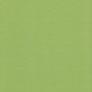 Карина светло-зеленый , пр-во - Германия, прозрачность - полузатемняющая, категория - 1