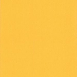 Карина блэкаут желтый , пр-во - Германия, прозрачность - непрозрачная, категория - 2