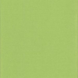Карина блэкаут светло-зеленый , пр-во - Германия, прозрачность - непрозрачная, категория - 2