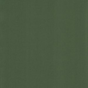 Карина блэкаут темно-зеленый , пр-во - Германия, прозрачность - непрозрачная, катег
